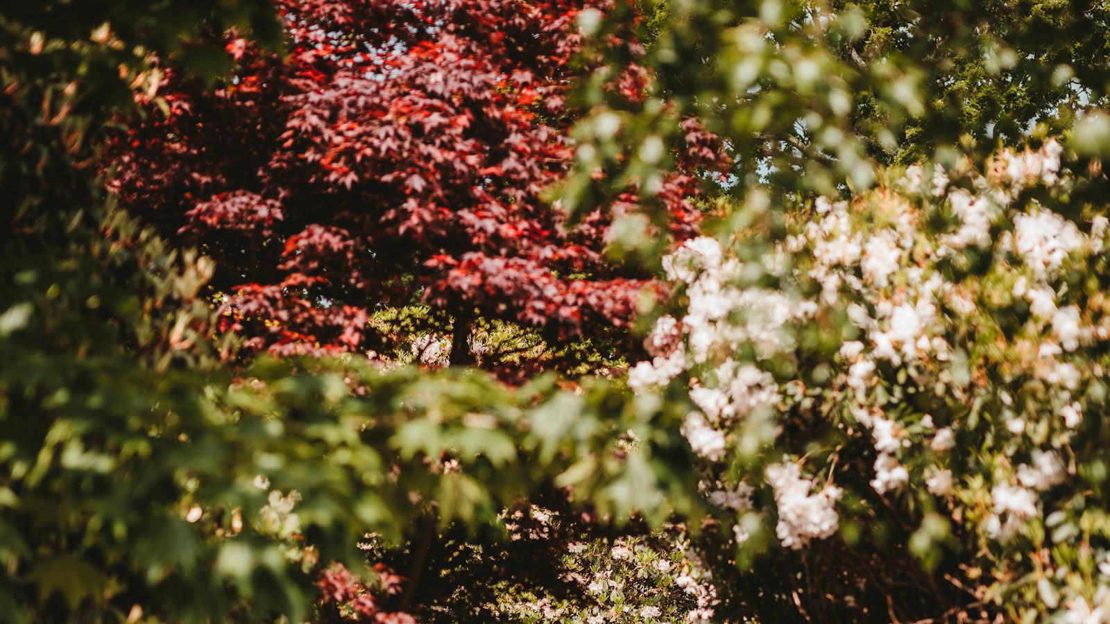 Los jardines exuberantes y llenos de historia