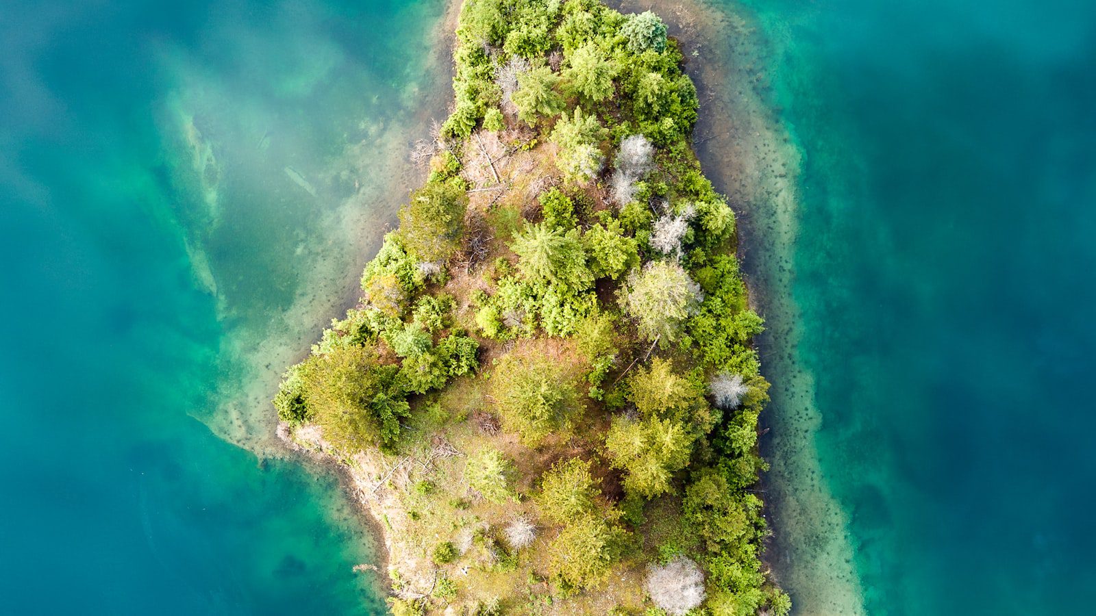 Explorando la maravilla natural de Caladesi Island State Park