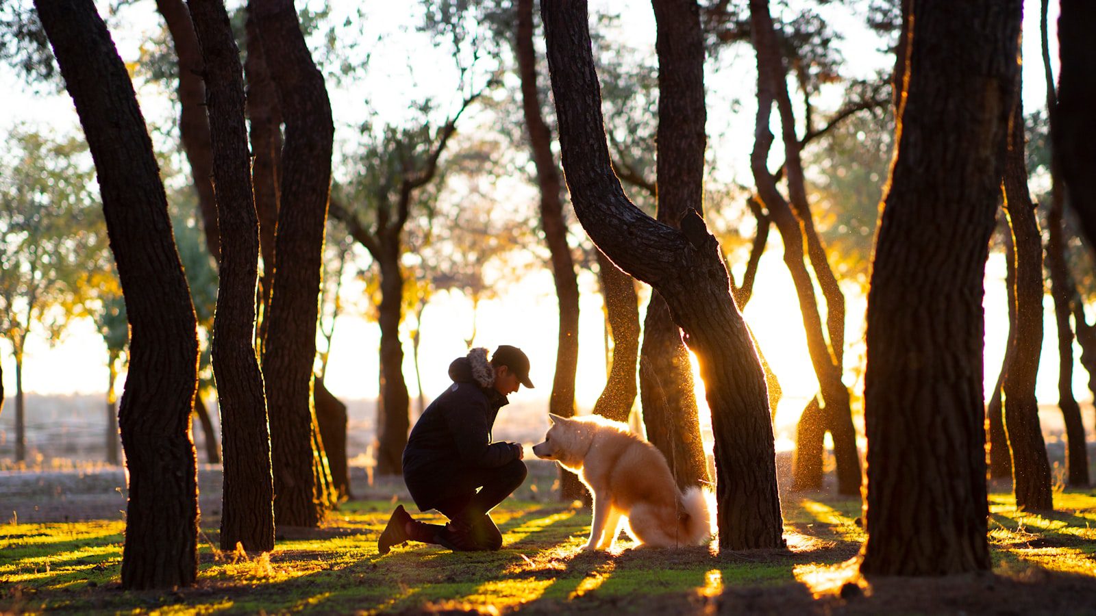 Disfruta de un día de aventuras al aire libre⁣ en Sheridan Park