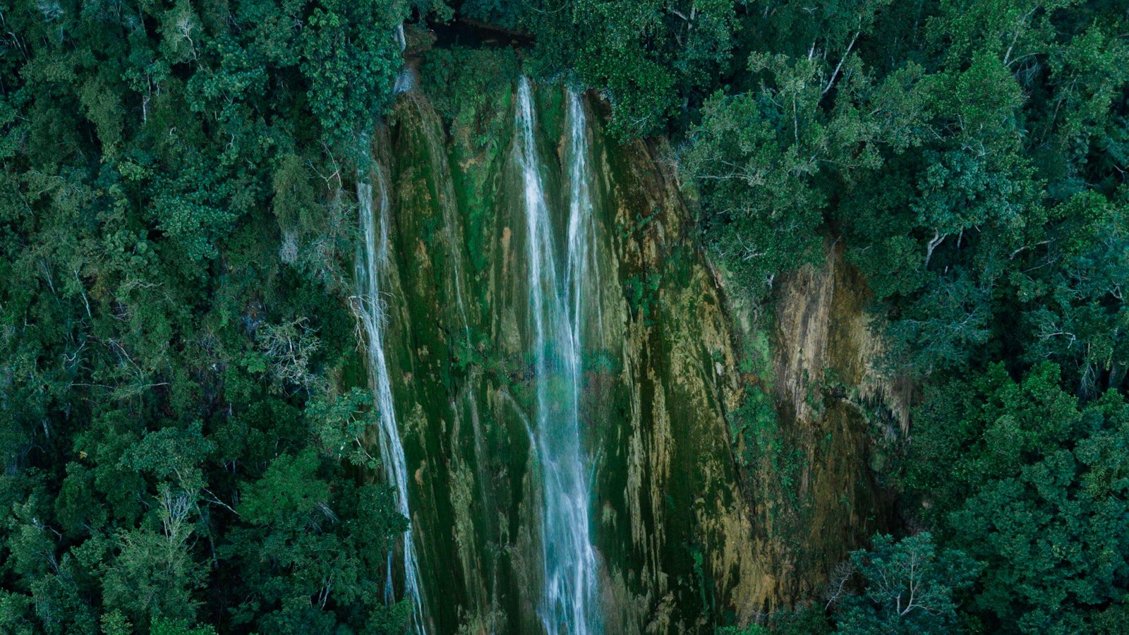 Senderos escénicos⁢ para enamorarse​ de la naturaleza