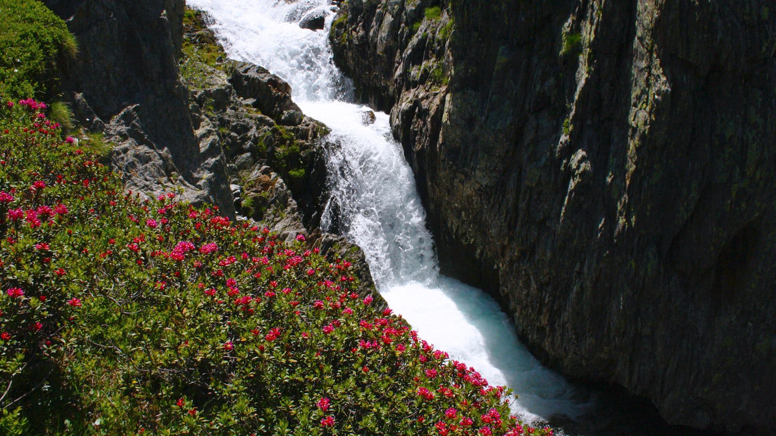 Disfruta ​de una escapada tranquila en⁣ medio de la naturaleza