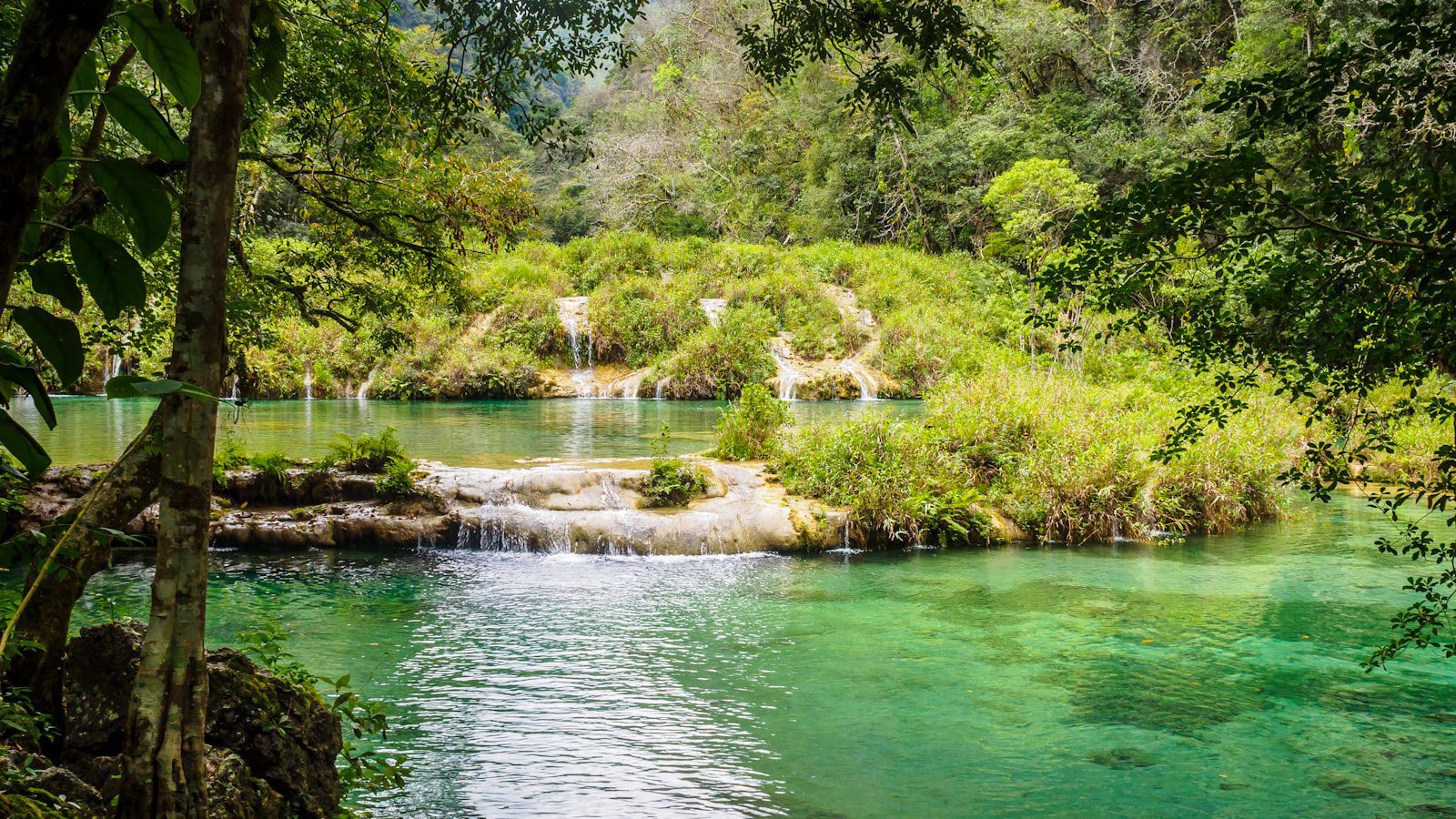 Relajación y ⁣conexión con la naturaleza en Hoomaluhia Botanical Garden