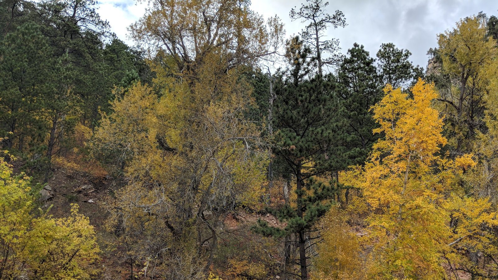 Spearfish Canyon