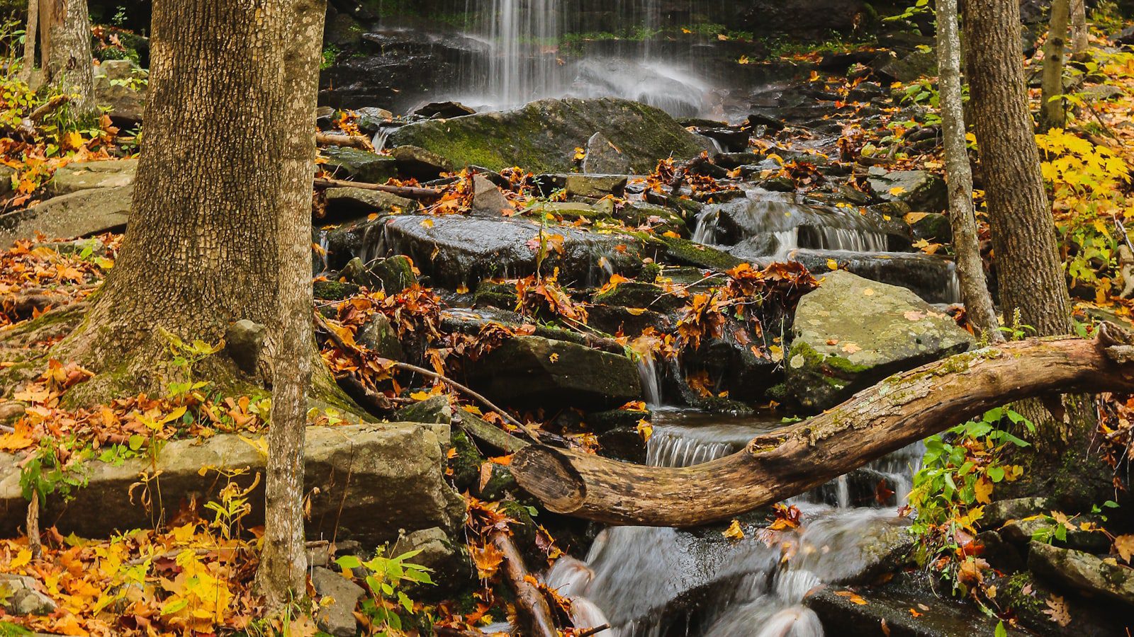 Maravillándose con las Cascadas de Hickory Run State Park