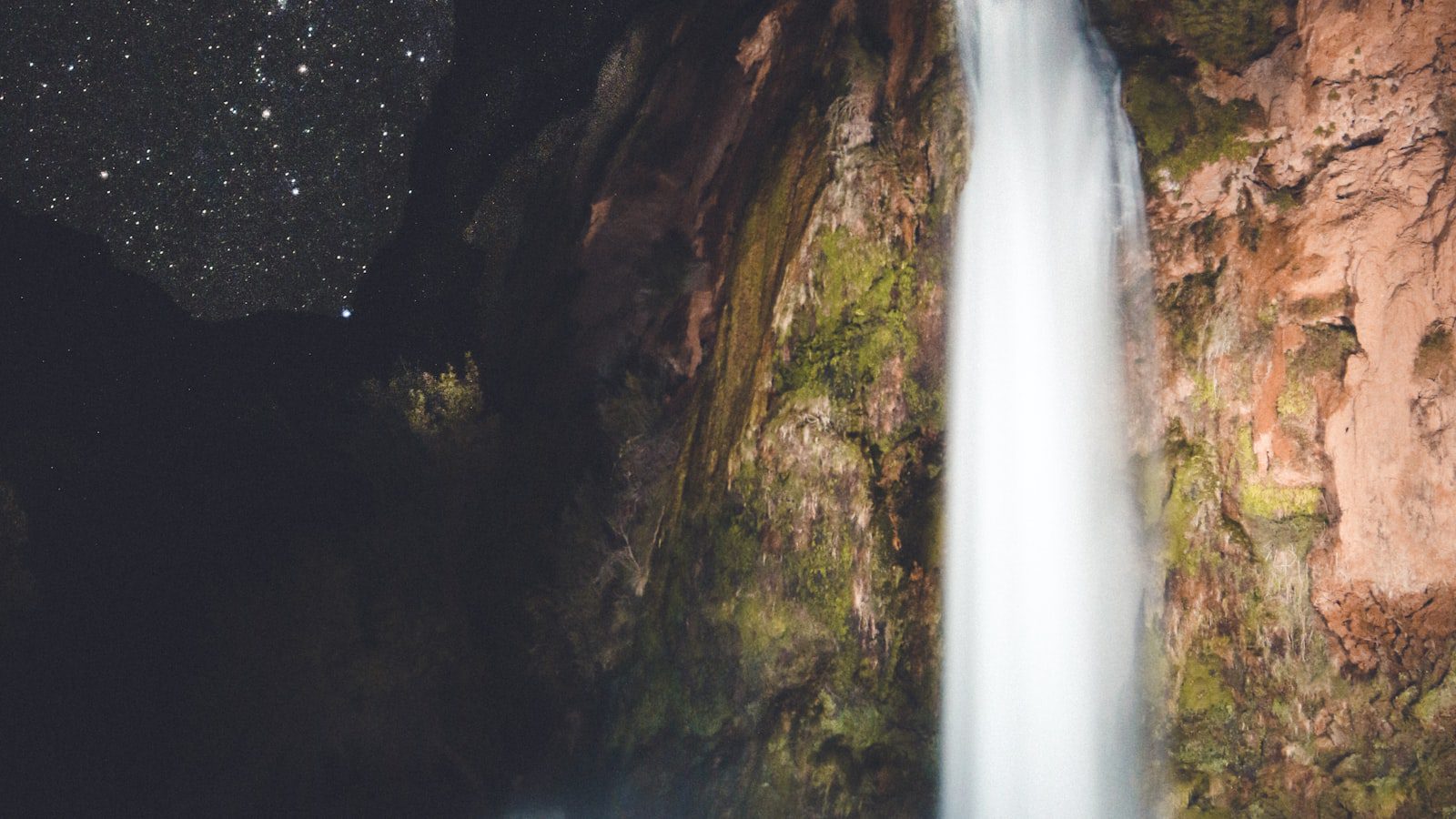 Un oasis de tranquilidad en medio de la ‍ciudad