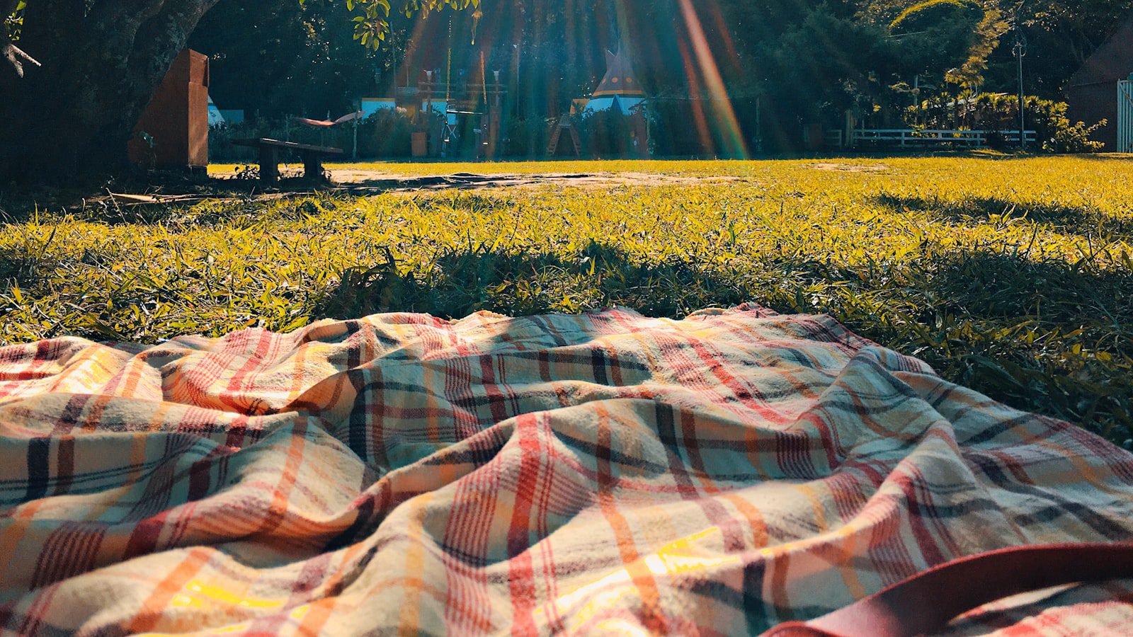 Picnics inolvidables ⁢con vistas⁤ panorámicas