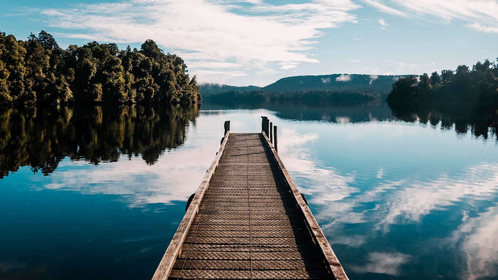 Disfruta de momentos de tranquilidad y conexión con la naturaleza en Gill Park