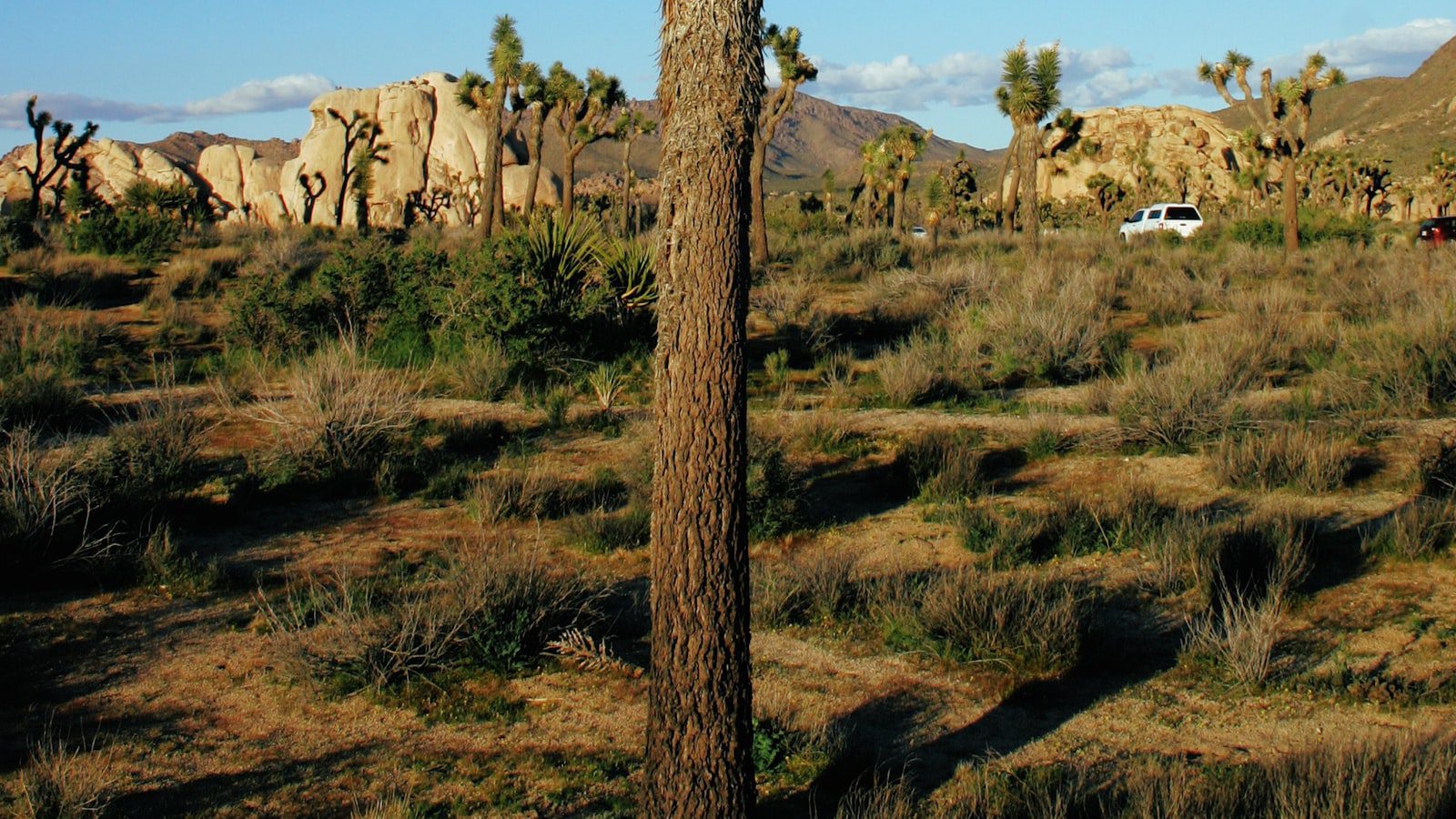 Maravíllate con las impresionantes cascadas ​de Carson National ‌Forest