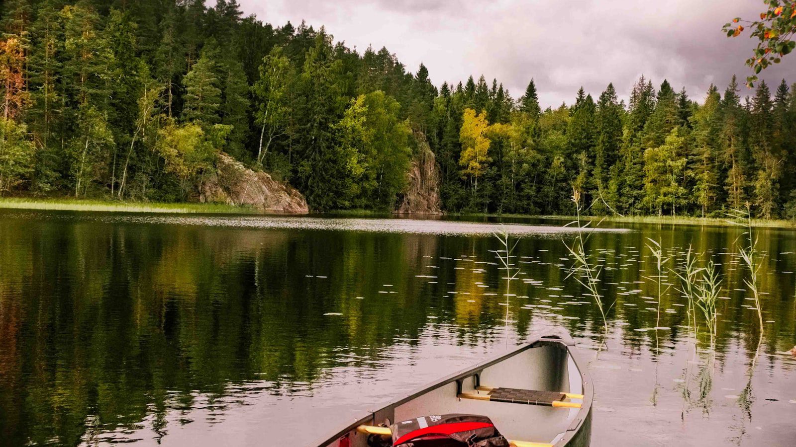 2.‌ Recorrido en kayak por los ⁣pantanos y ríos de Florida