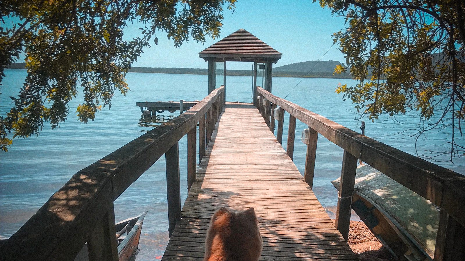 Explorando la Belleza Natural de Lake Shore Park