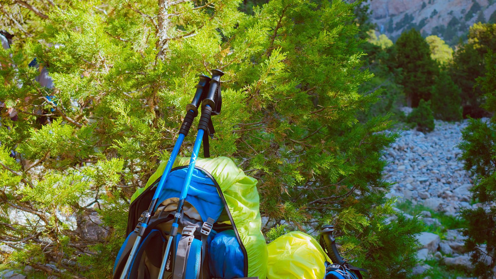 Disfruta ⁢de actividades como ​senderismo, observación de aves y fotografía en Big ⁢Thicket