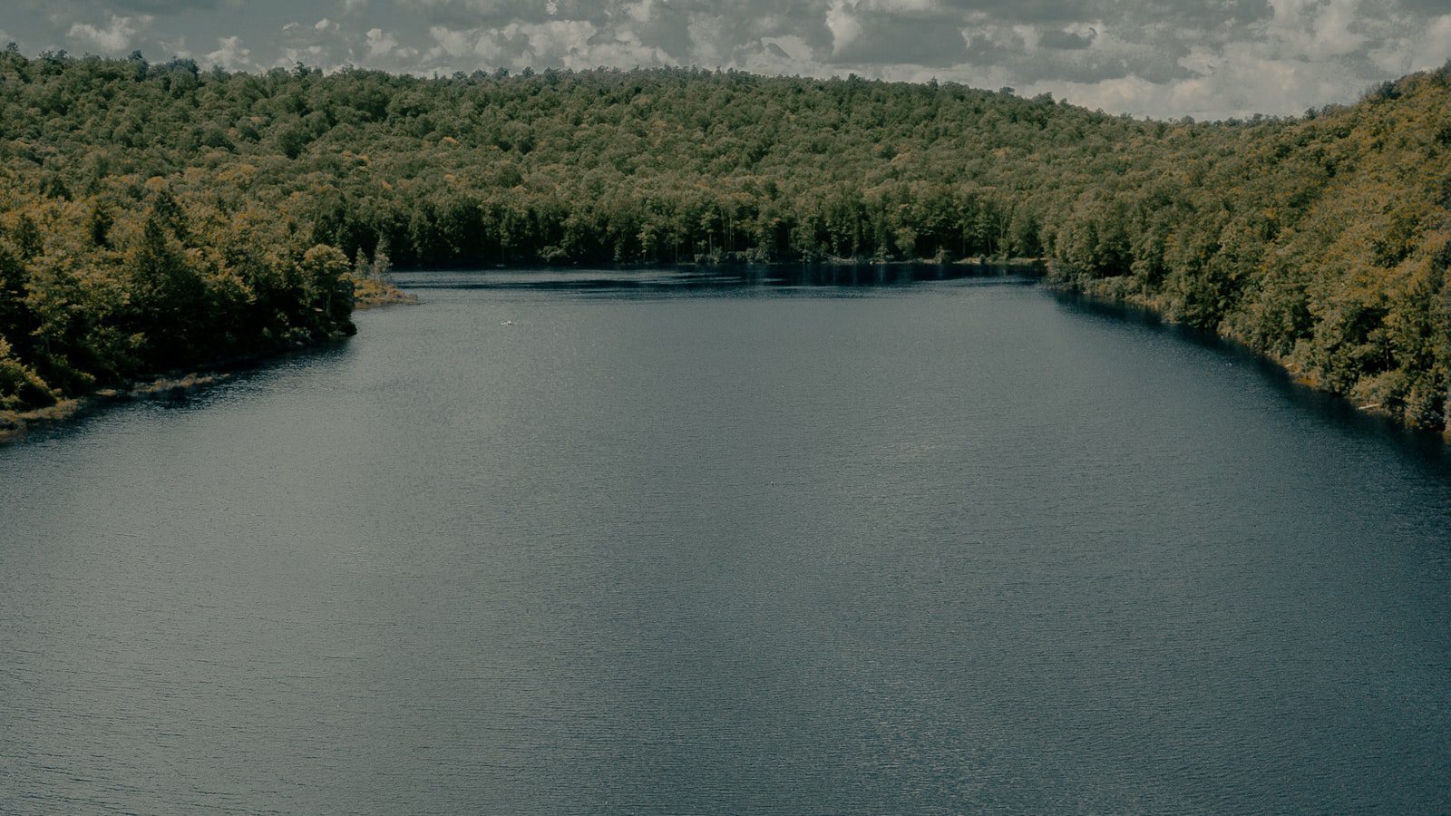 Un oasis de ⁢paz ⁤en medio de​ la ciudad