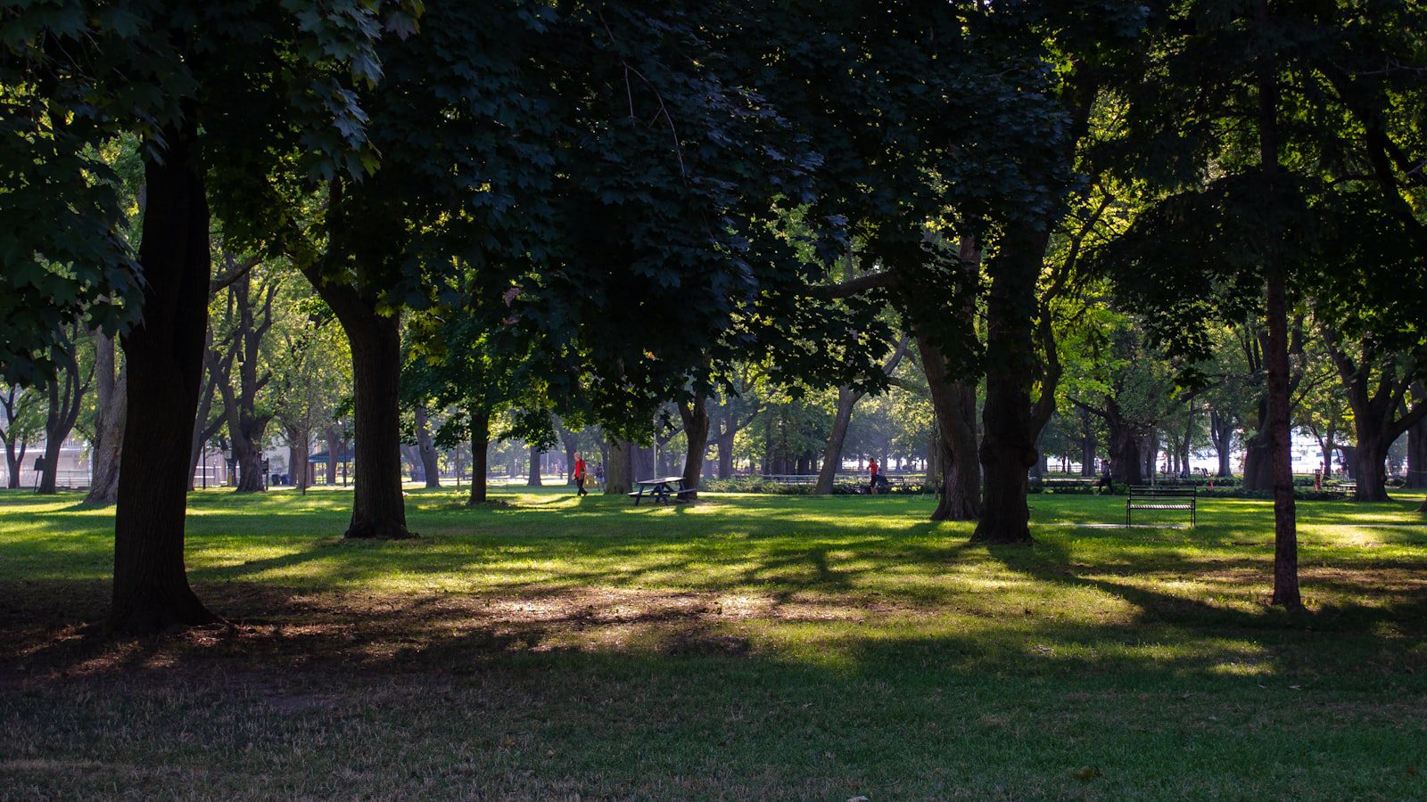 Descubre la cautivadora historia de Clybourn Park