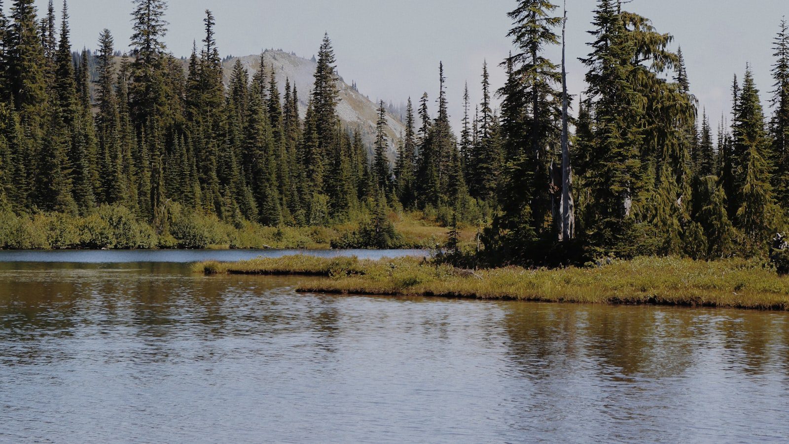 Descubre ⁤la majestuosidad ‌de Mount Rainier