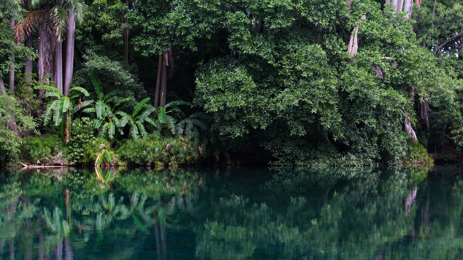 Un paraíso acuático‍ para toda la familia