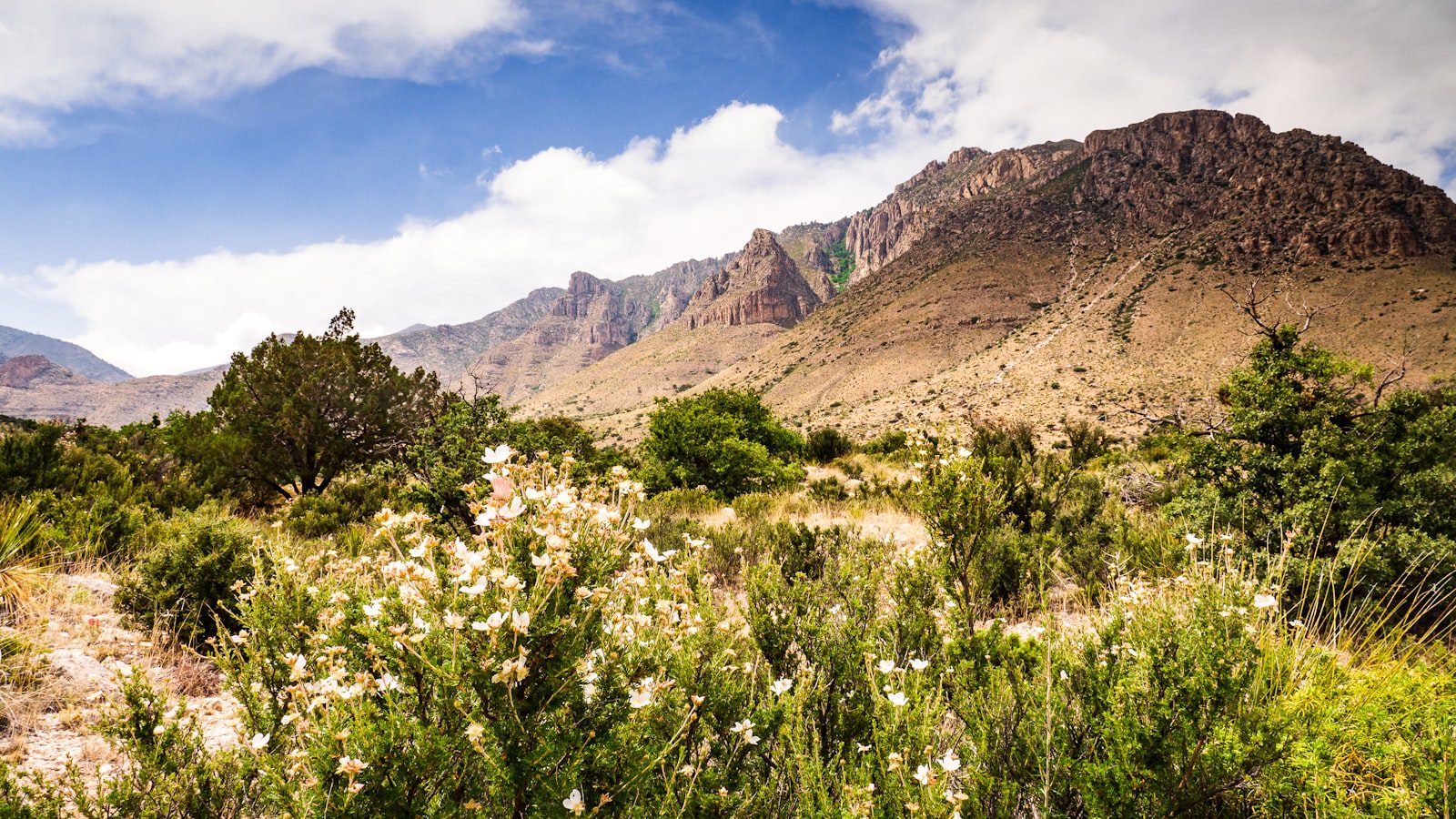 Descubre la ⁤majestuosidad de Guadalupe Mountains National Park