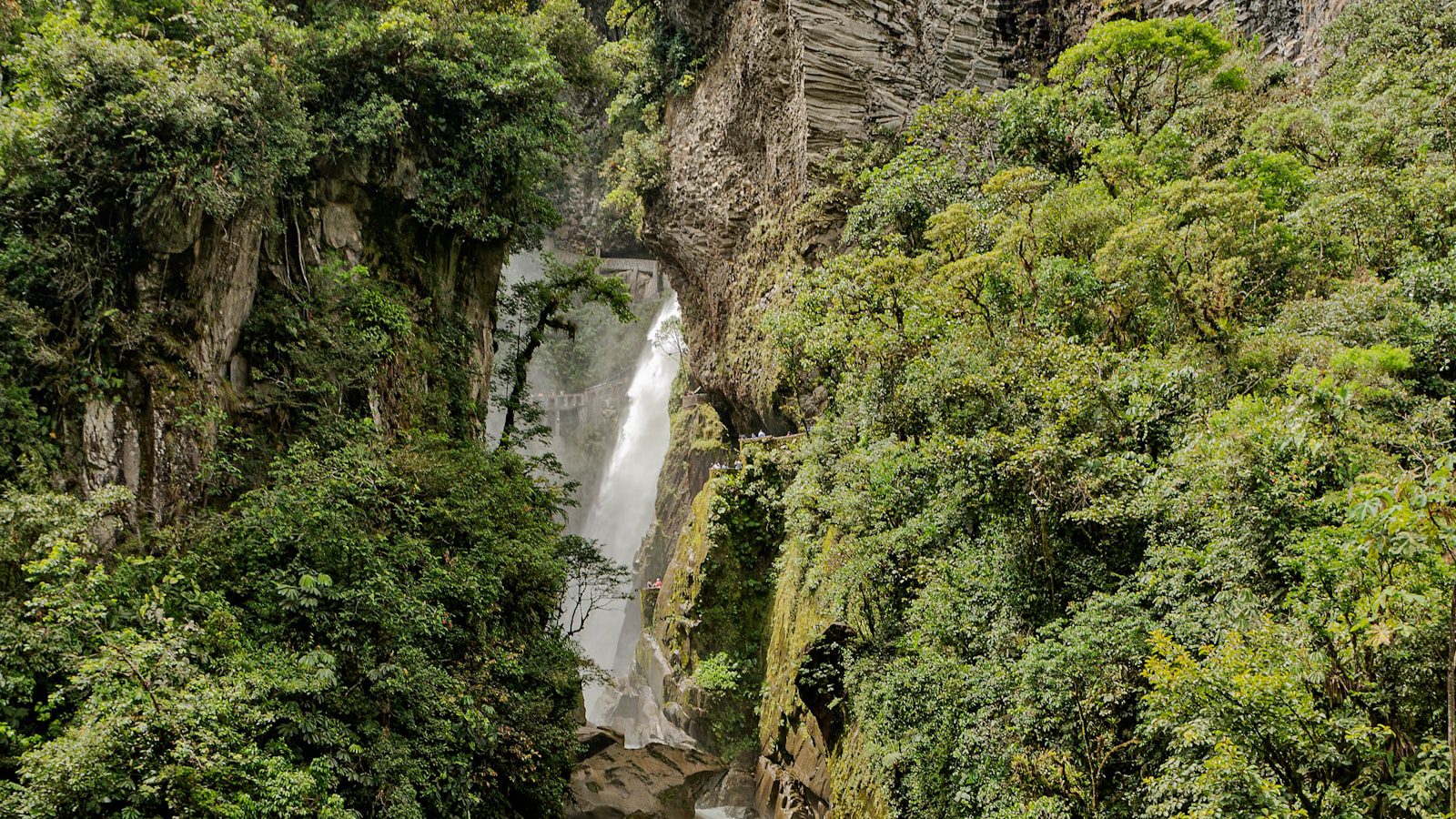 Siente la⁣ conexión⁢ con la naturaleza en los ‍senderos de bosques exuberantes