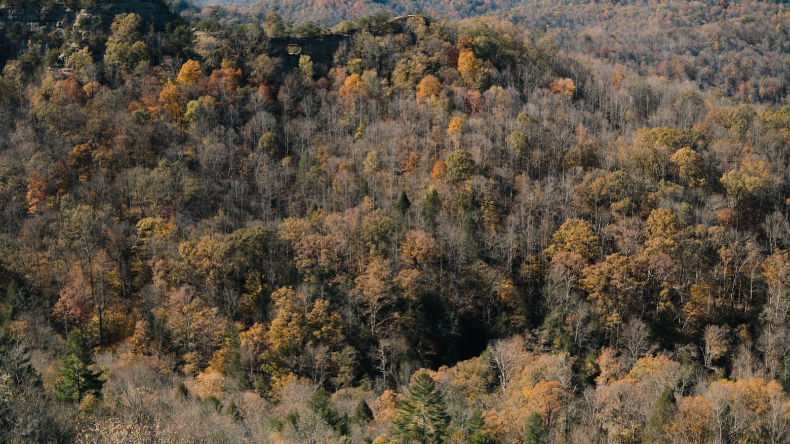 Sumérgete‍ en la historia y ‌cultura⁤ de Kentucky‍ en ​Kincaid ‍Lake State Park