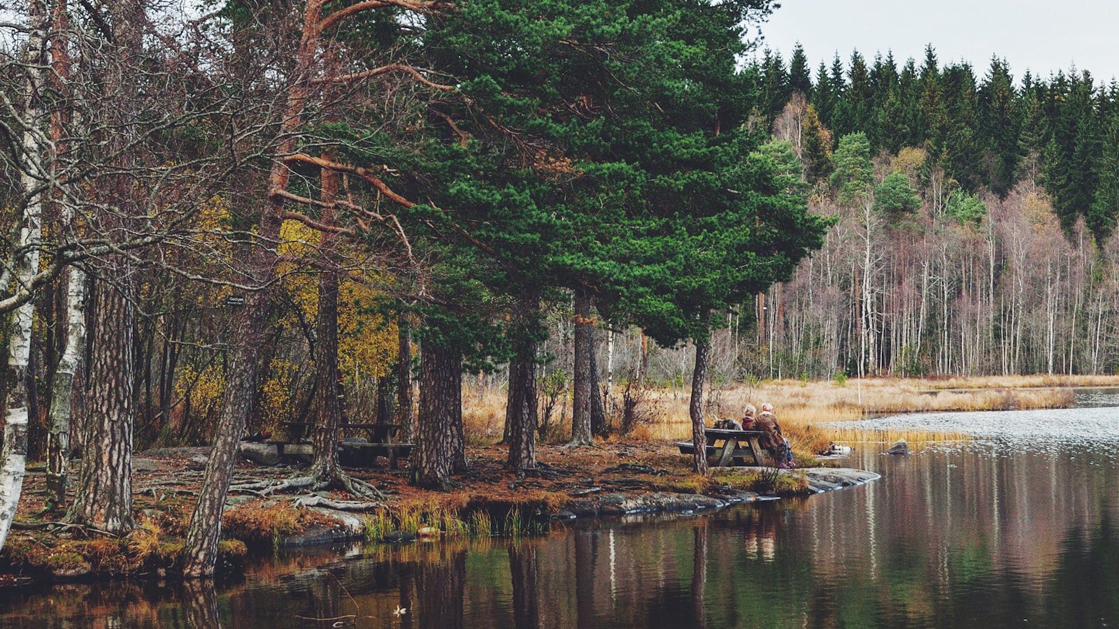 Disfruta ⁢de⁤ la ‌tranquilidad en​ medio de la naturaleza