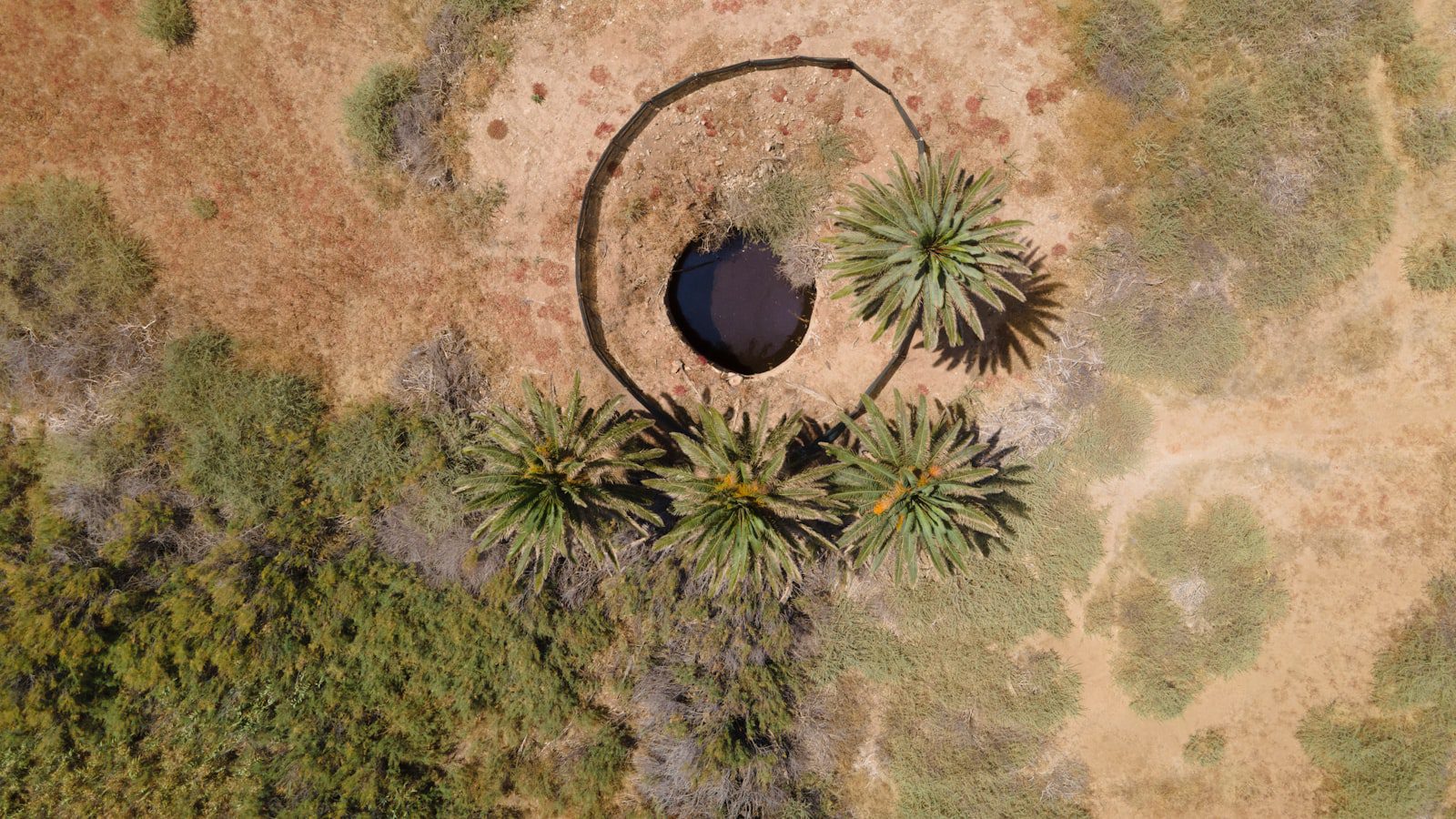 Un oasis verde en​ medio de la ciudad