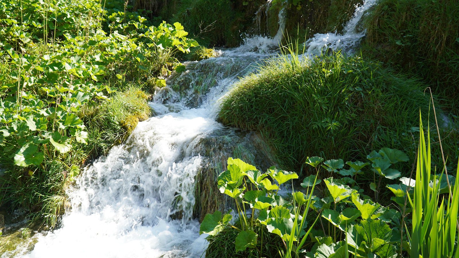 Disfruta de un día de‍ aventura al ⁣aire libre en Fisherville Brook