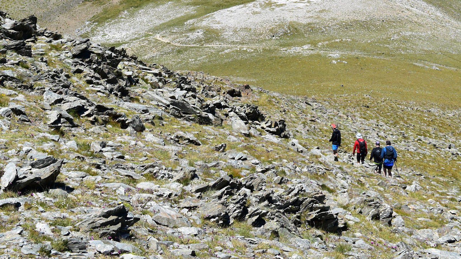 Senderismo entre Bosques Frondosos y Montañas Impresionantes