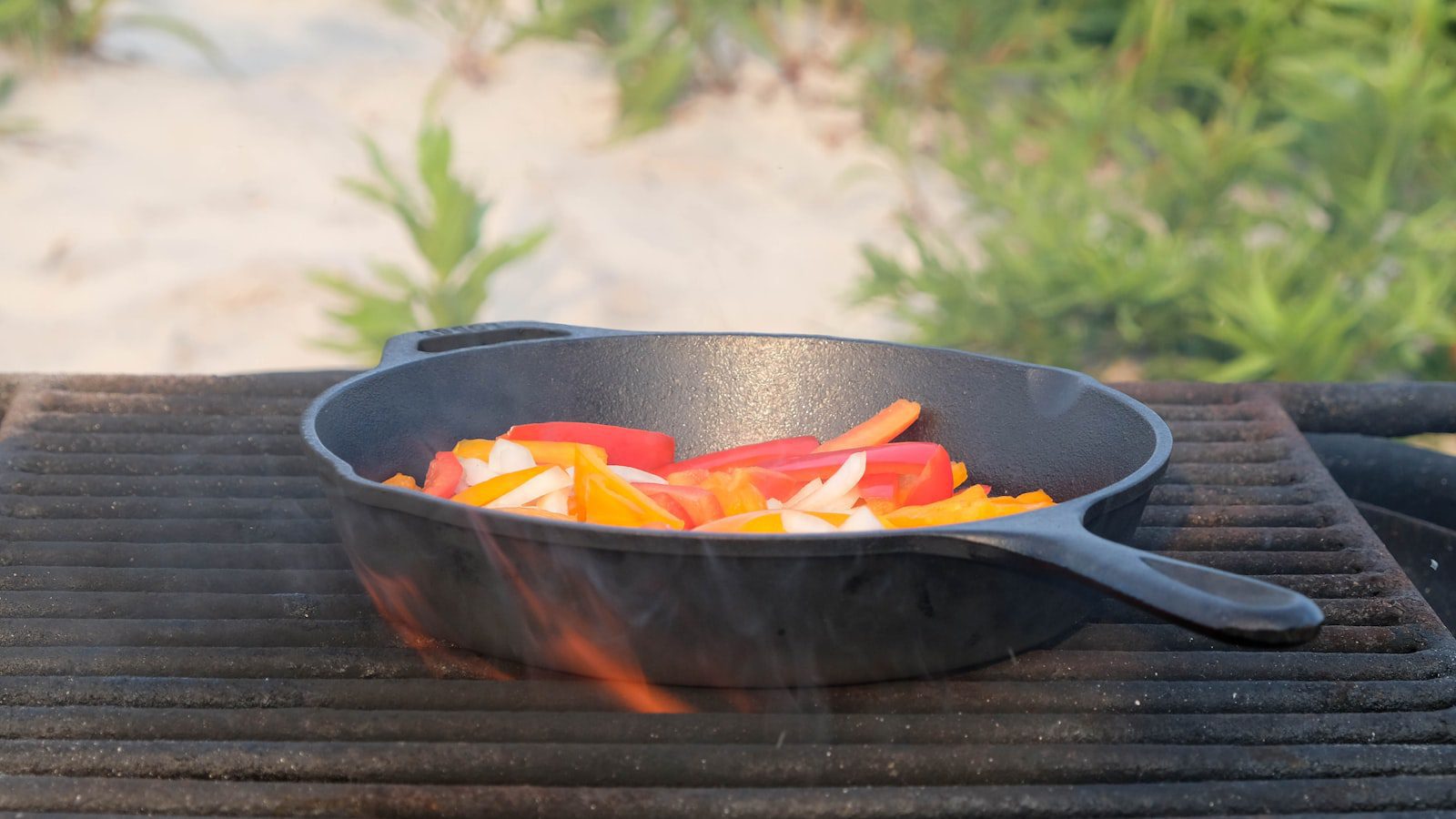 Explora ⁣los majestuosos caballos de Assateague