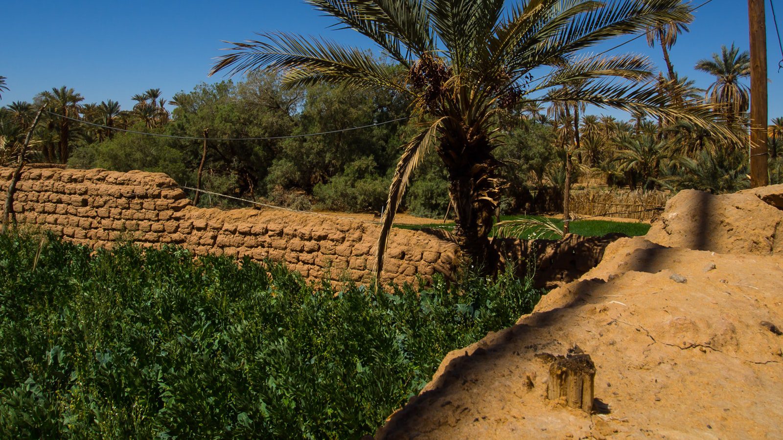 Un oasis ​de tranquilidad ⁤en ⁤la ‍ciudad