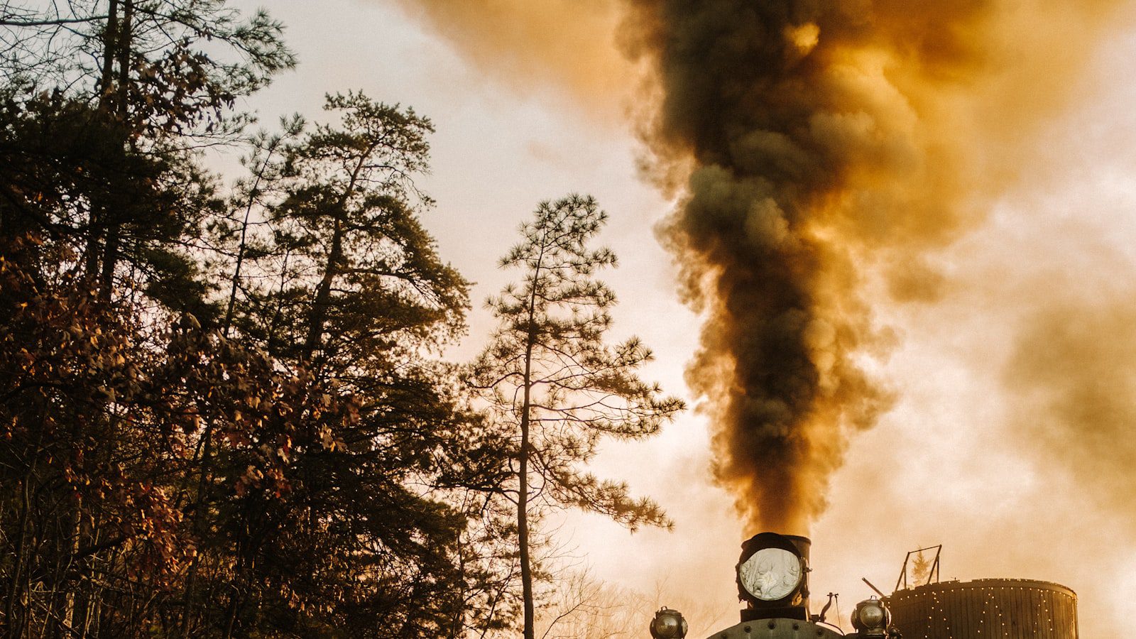 Explorando la magia de Dollywood