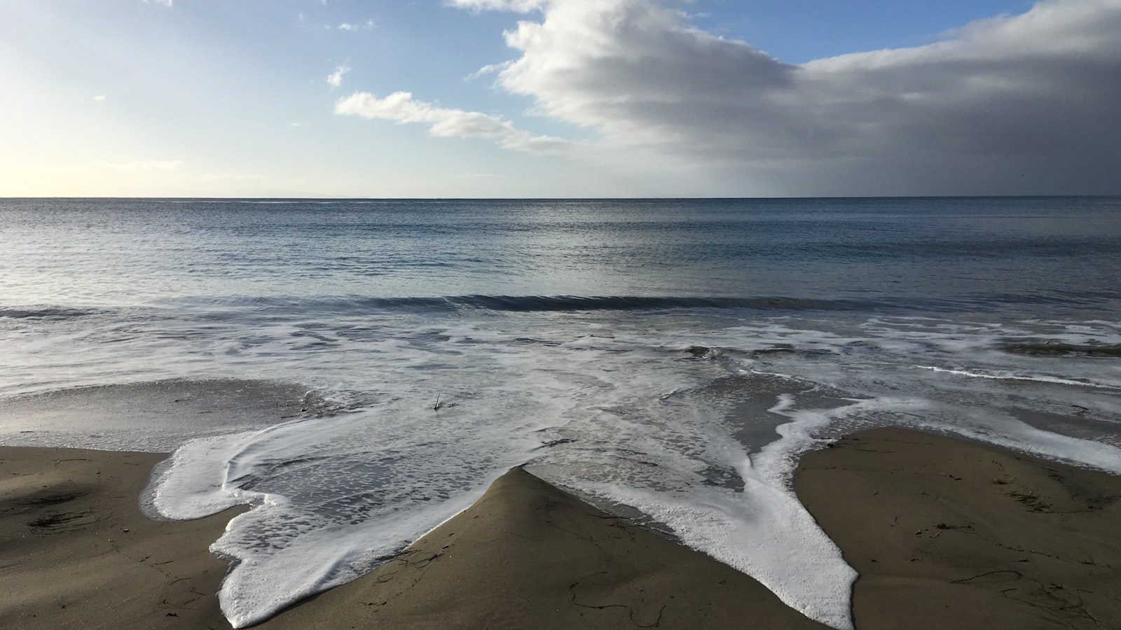 Un ⁢refugio para ⁣la ‌vida silvestre ‍nativa de Rhode Island