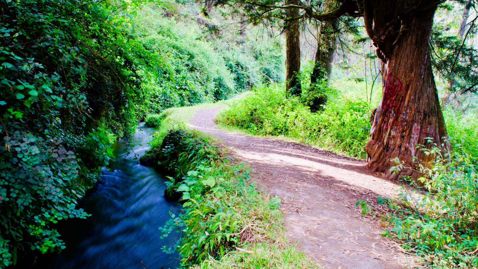 Senderos impresionantes ‌para los amantes ​del⁣ trekking