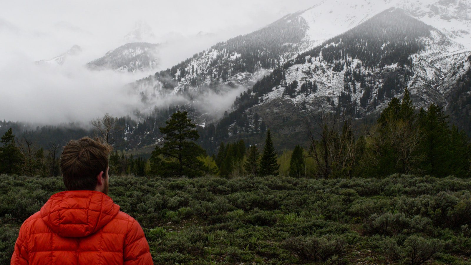 Explorando la majestuosidad de Bridger-Teton National Forest