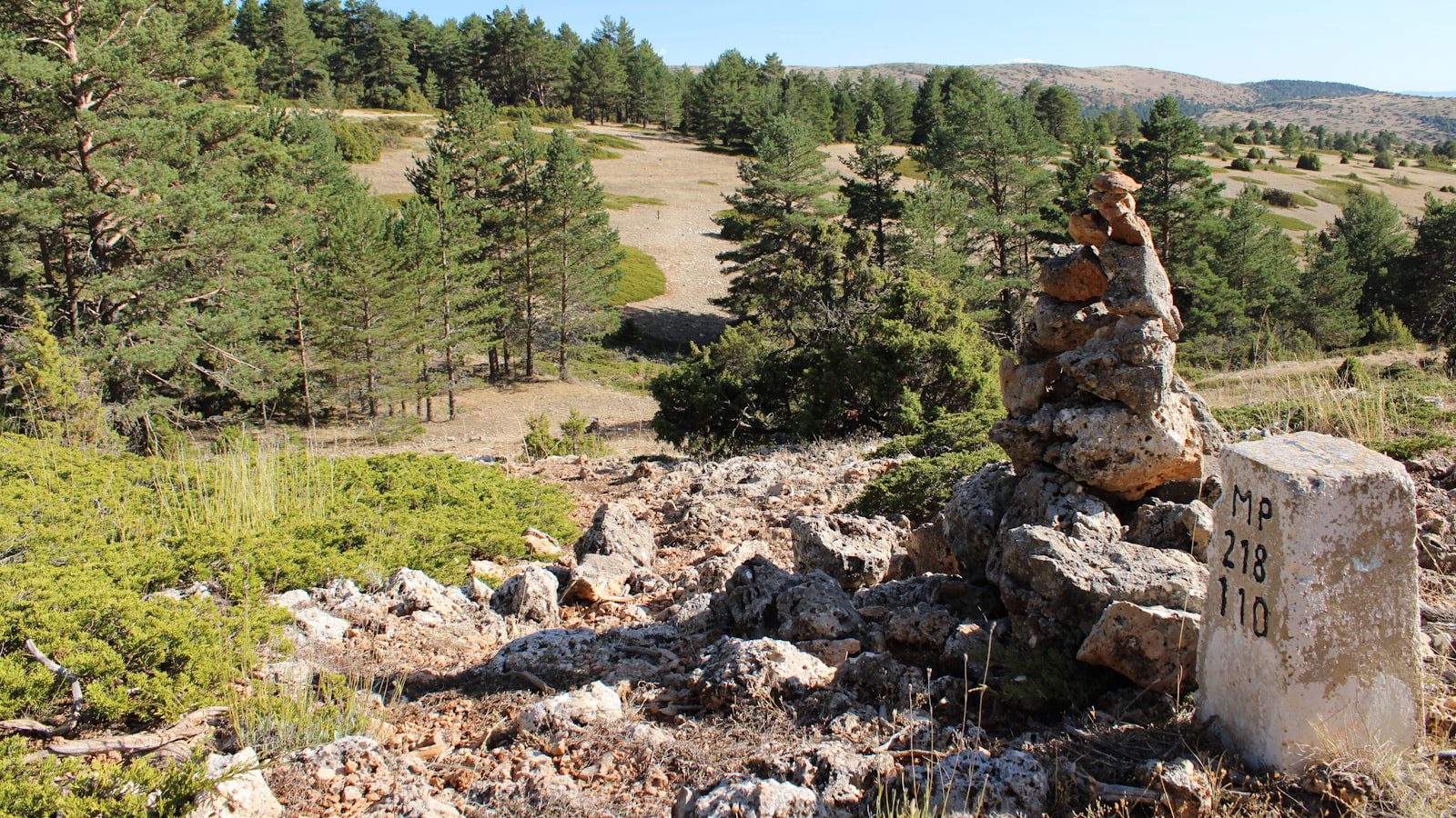 Senderos panorámicos​ para explorar ⁣en Daisy⁣ State Park