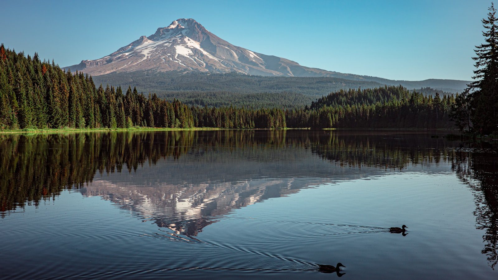 Disfruta de un tranquilo ⁤día de pesca en Trillium Lake