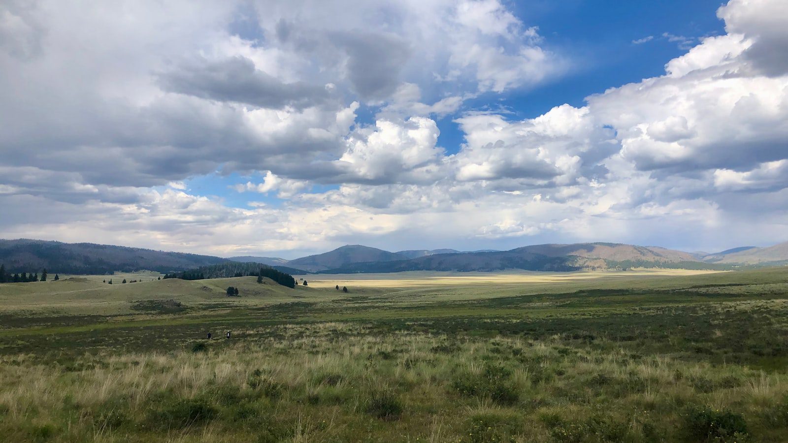 Recomendaciones ⁤para observar la ⁣vida ‍silvestre⁤ en Valles Caldera