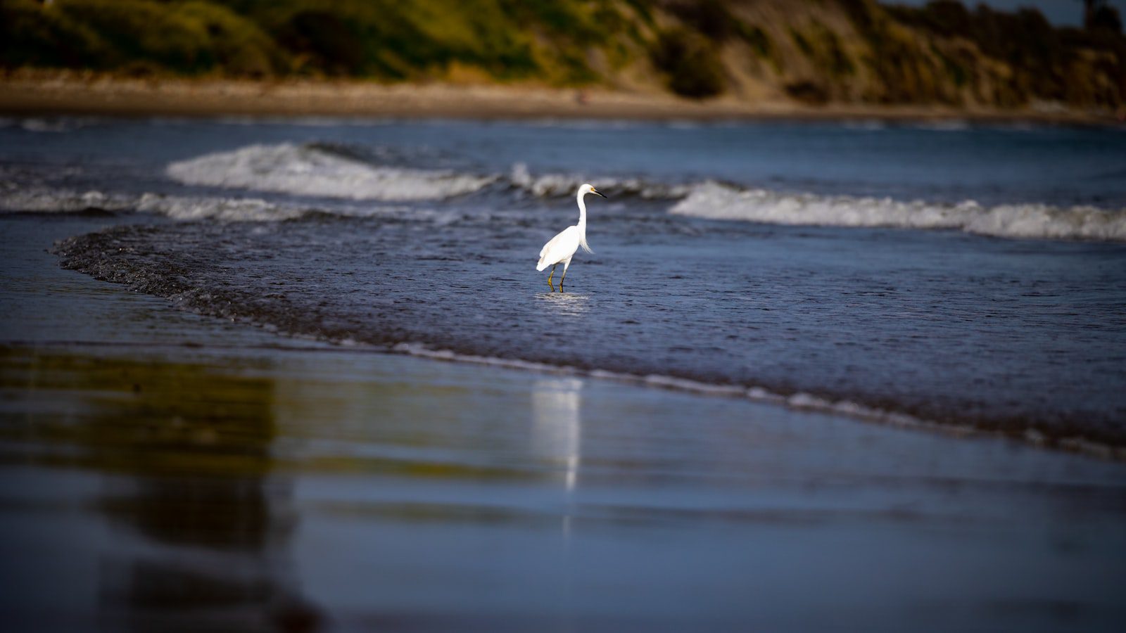 Un refugio para observación ⁣de aves y vida silvestre