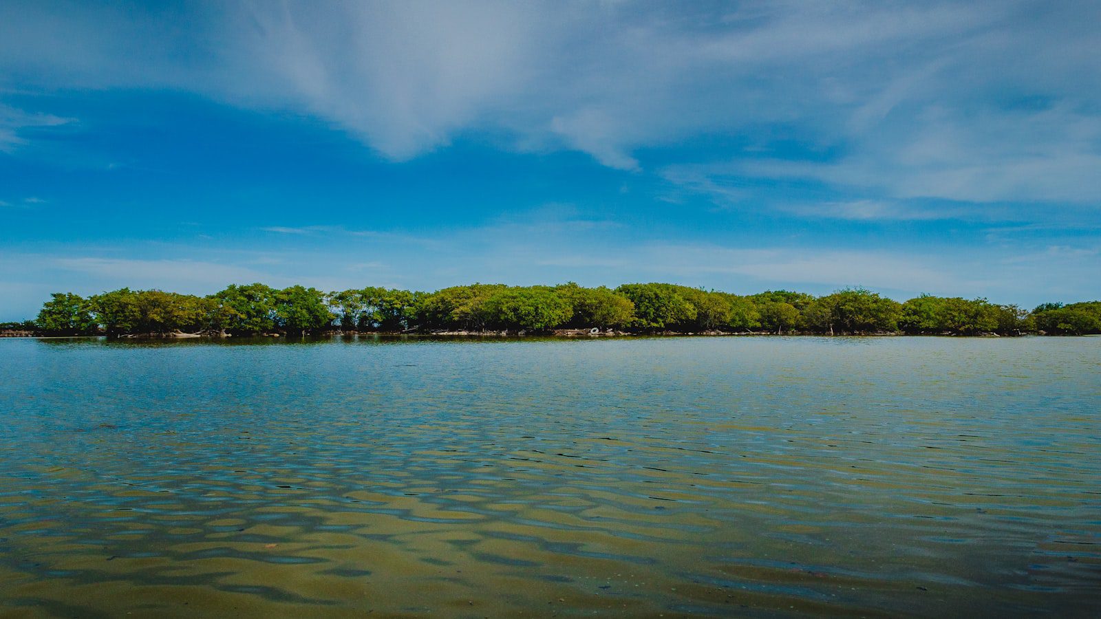 Sumérgete en la Tranquilidad de los Senderos de Parque Número 553