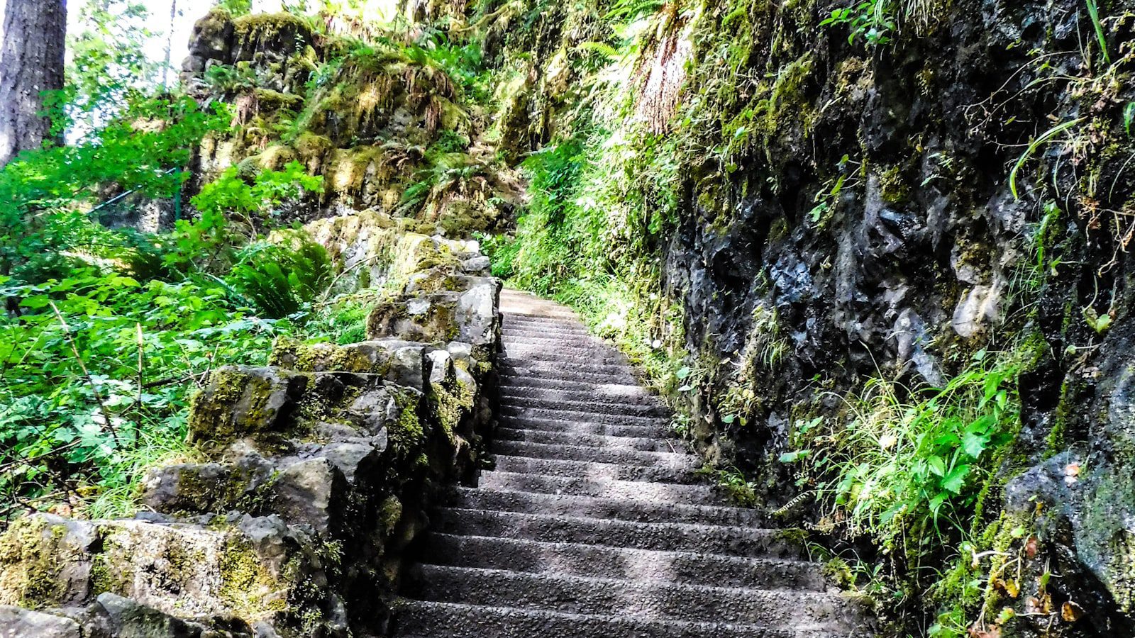 Descubre la diversidad natural del Pu‘u ‘Ō‘ō Trail