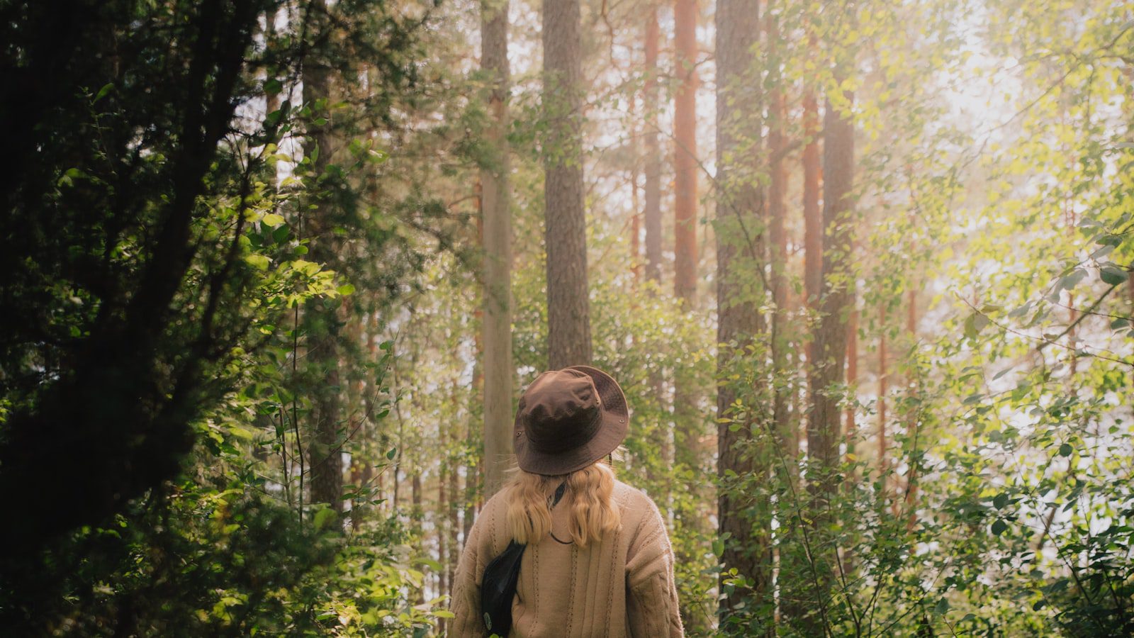 Senderismo en los espectaculares bosques de‌ O'Bannon