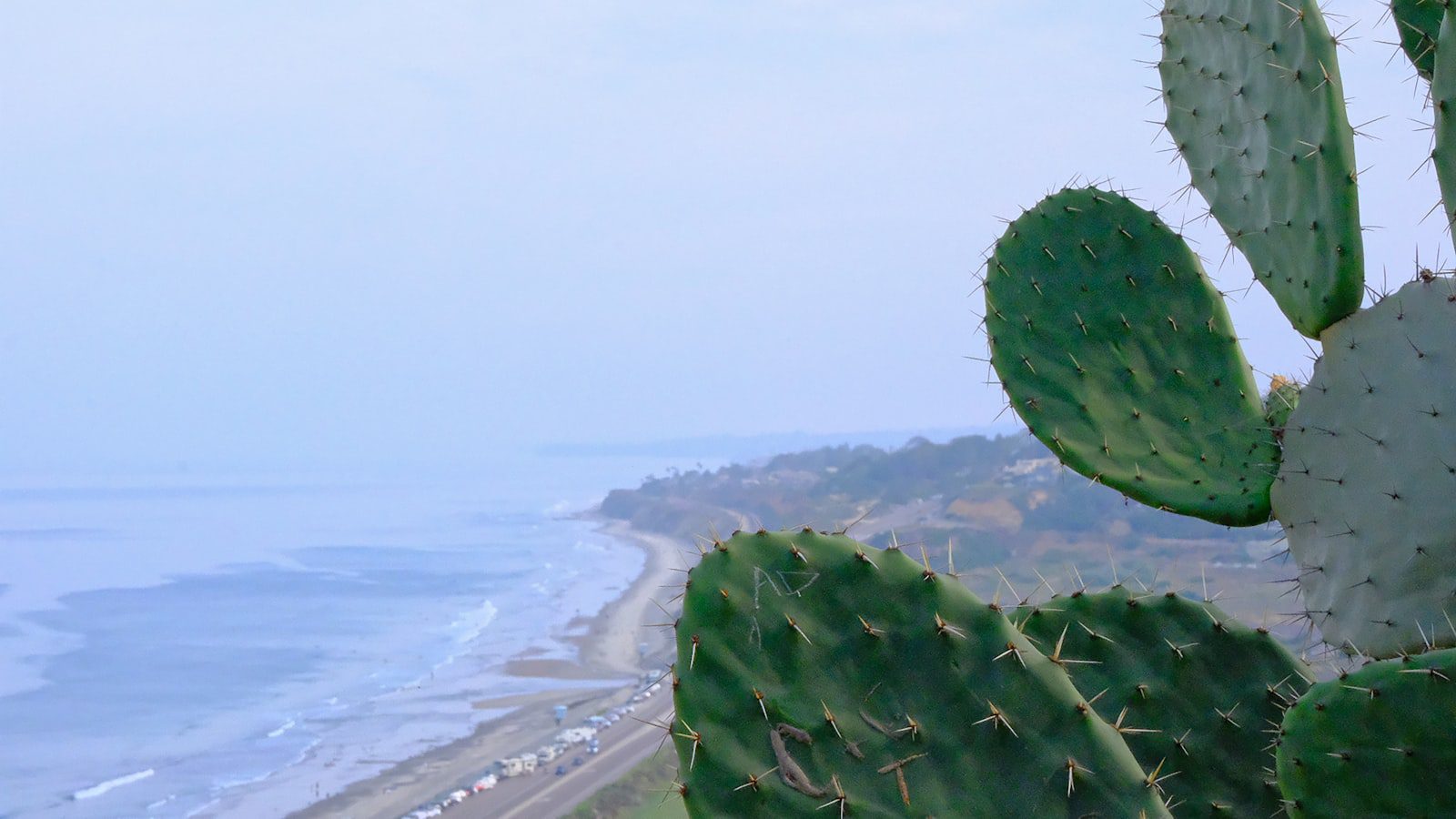 Maravillas naturales en ⁤Hodges Gardens State Park