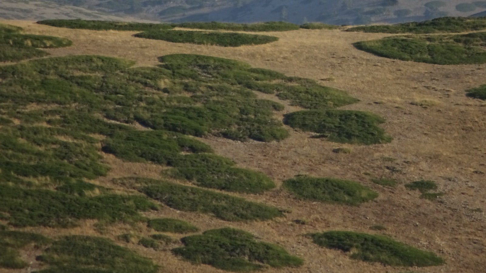 Disfruta de‍ vistas espectaculares desde el⁢ Observatorio del Río Misuri