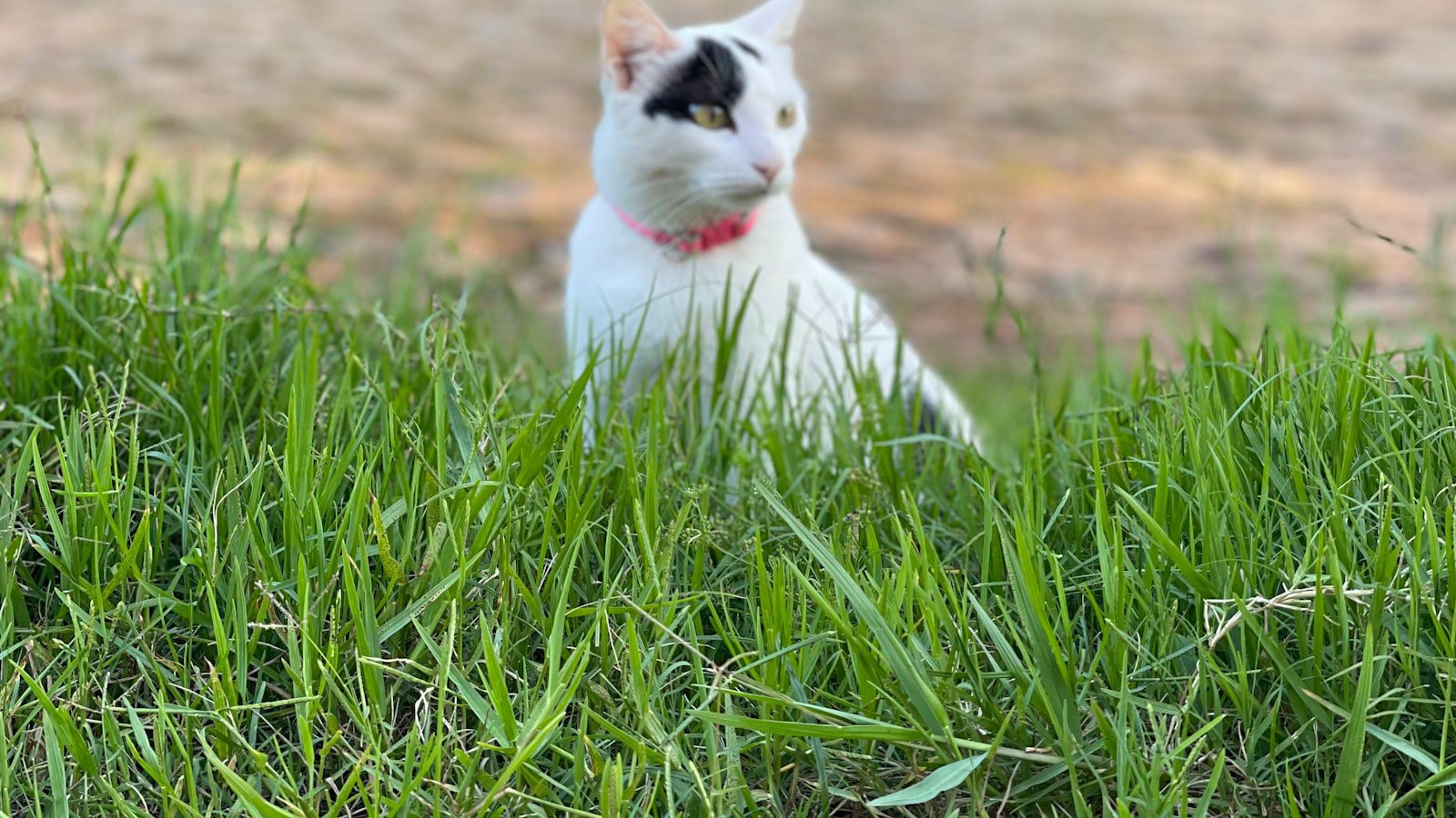 Disfruta de actividades al aire libre en⁣ un entorno tranquilo‍ y sereno