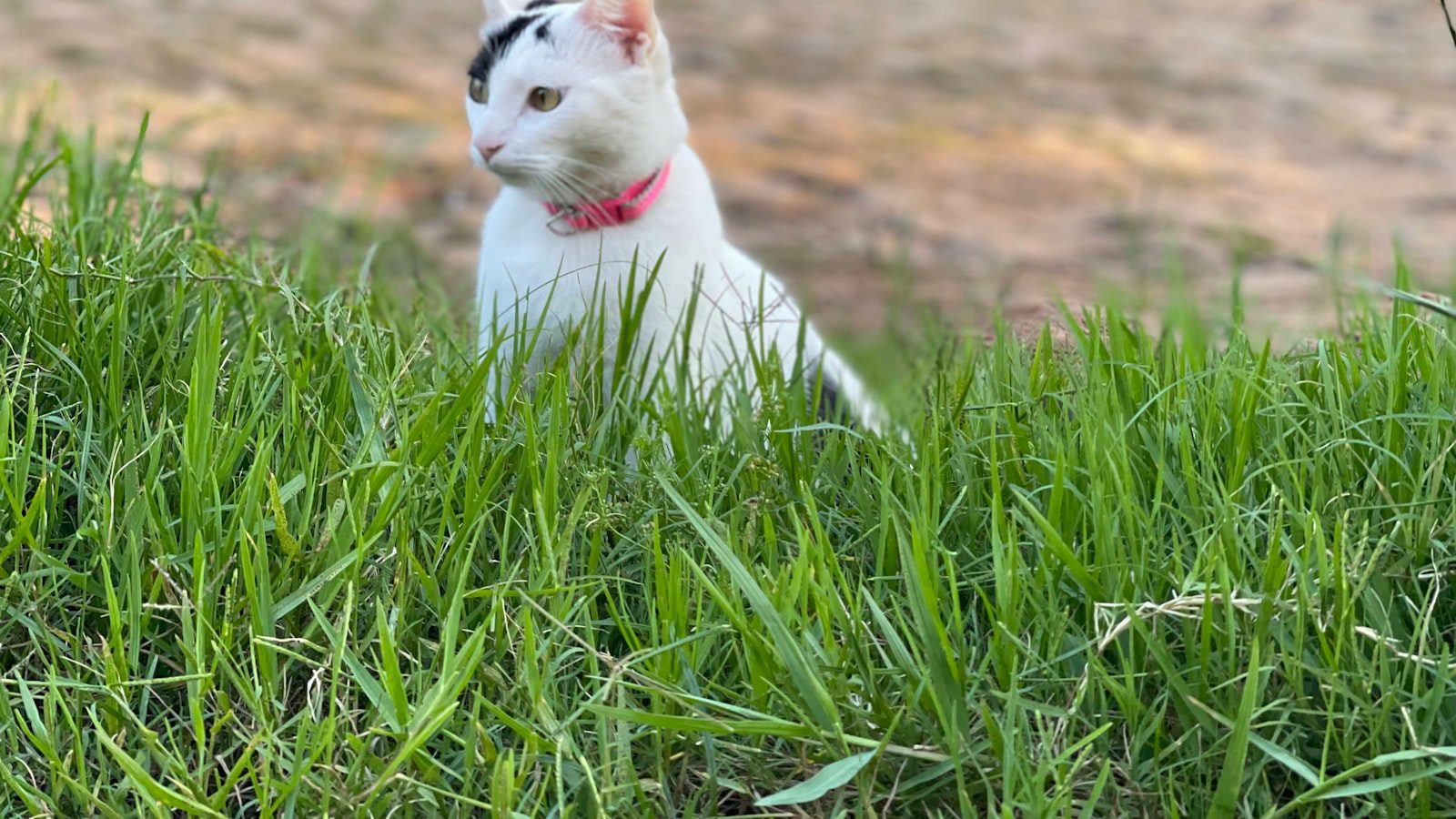 Disfrutando de las ​actividades al aire libre