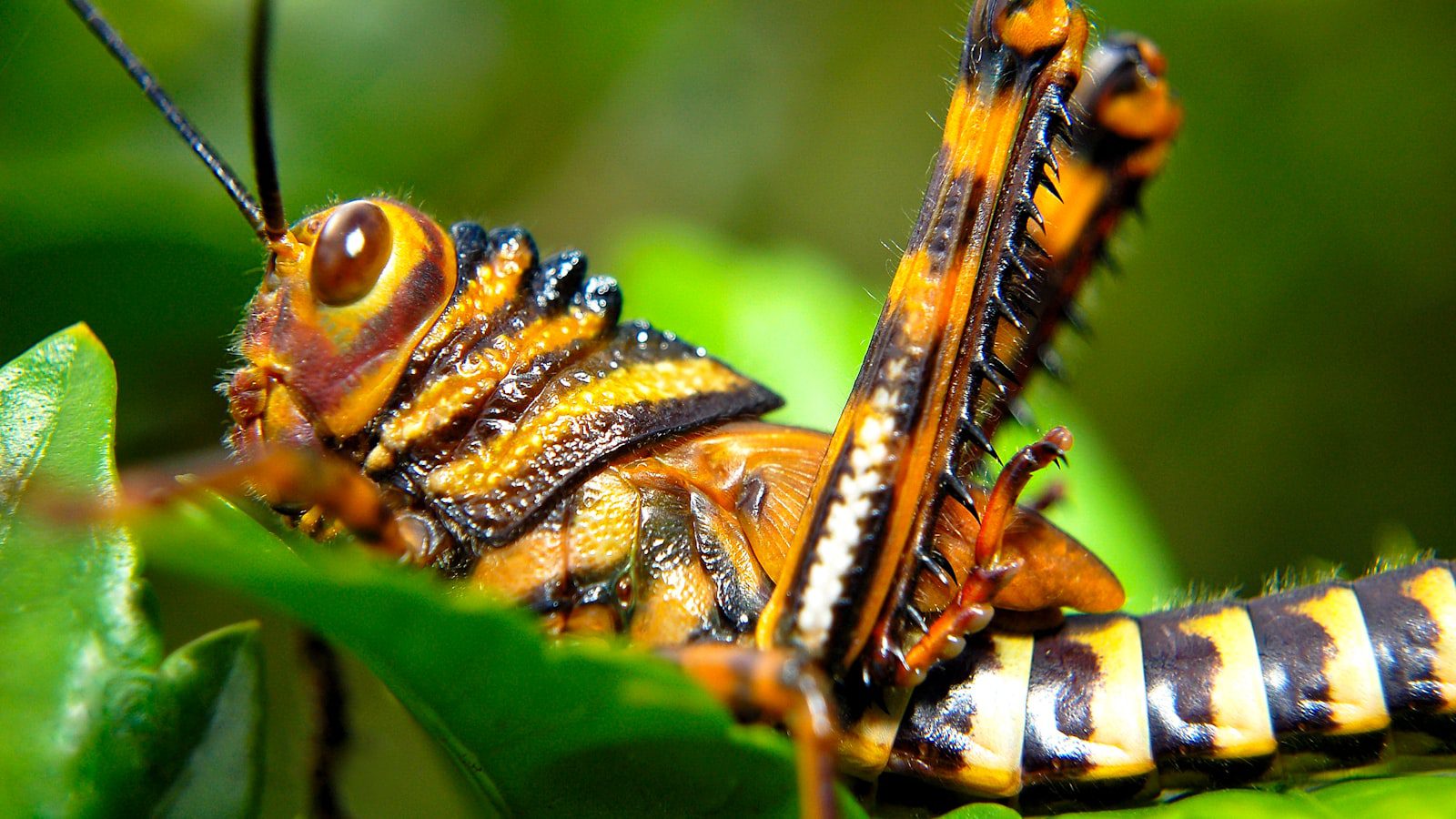 Disfruta de la biodiversidad en sus lagos y bosques