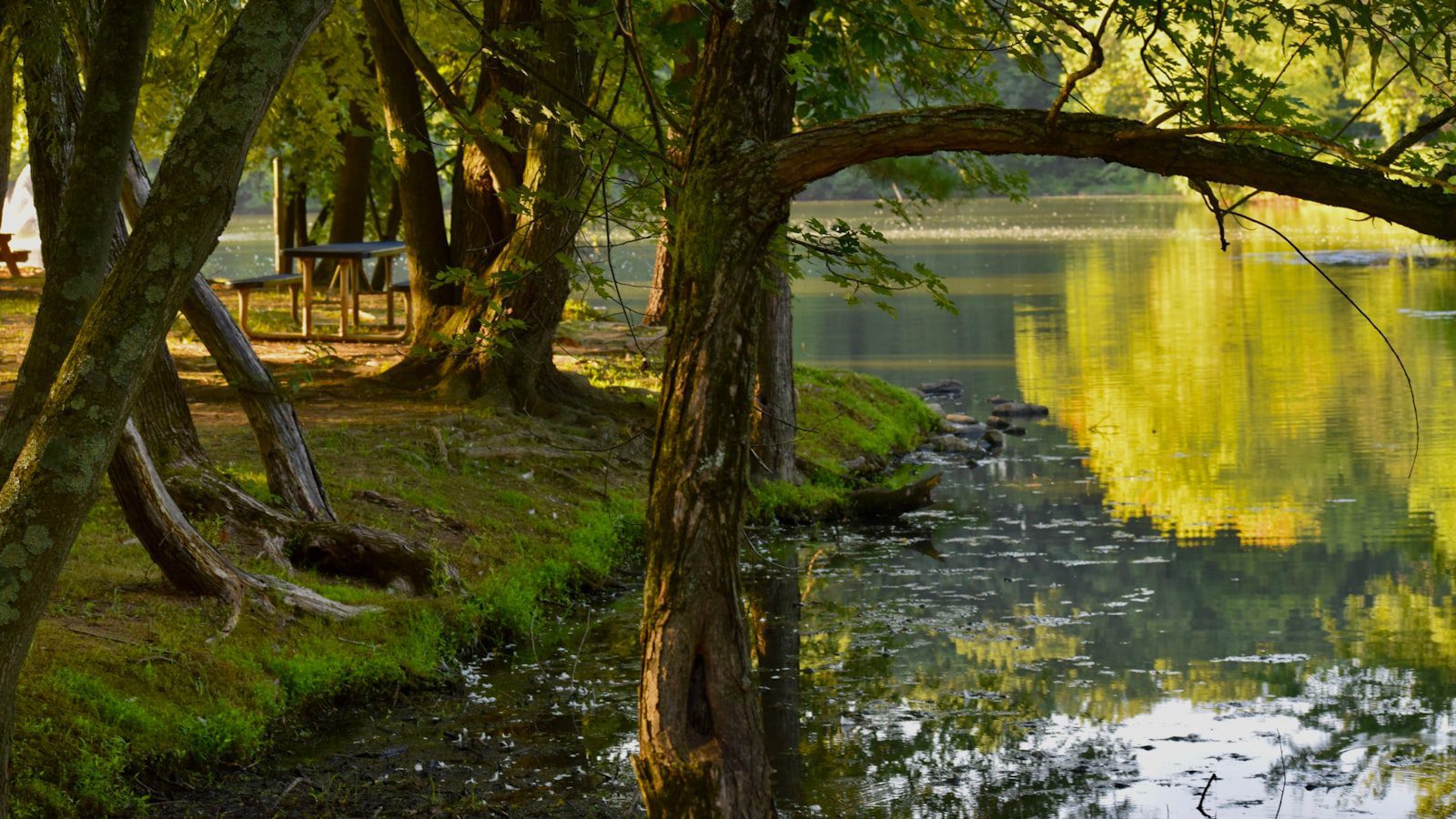 Rutas de ⁤senderismo que te llevarán a paisajes de ensueño