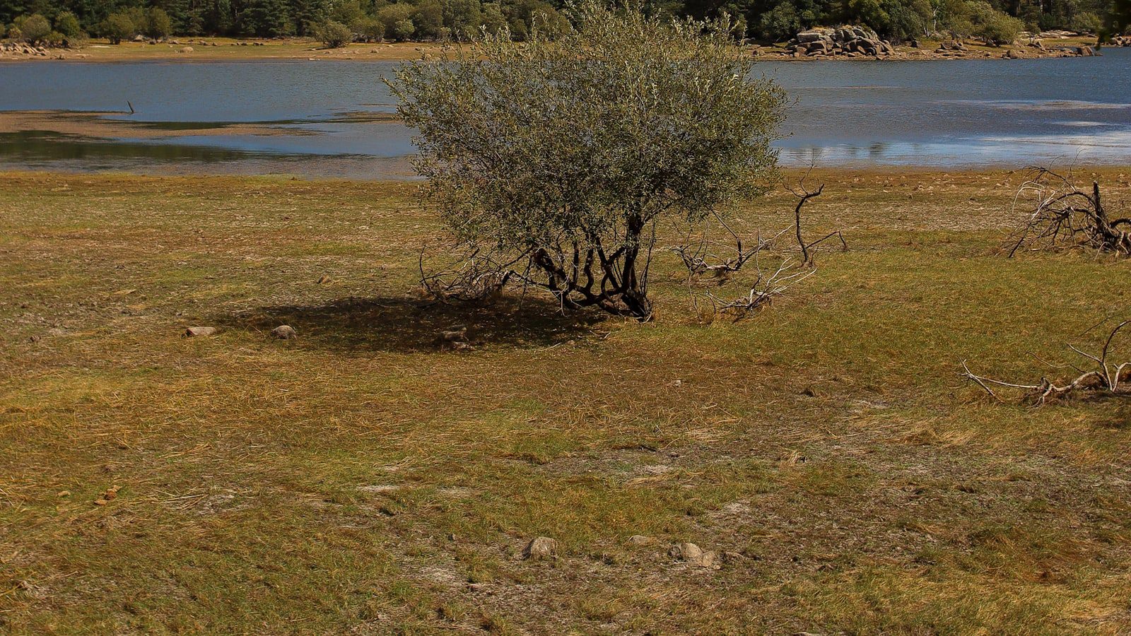 Maravillas naturales en Ash Meadows National Wildlife Refuge