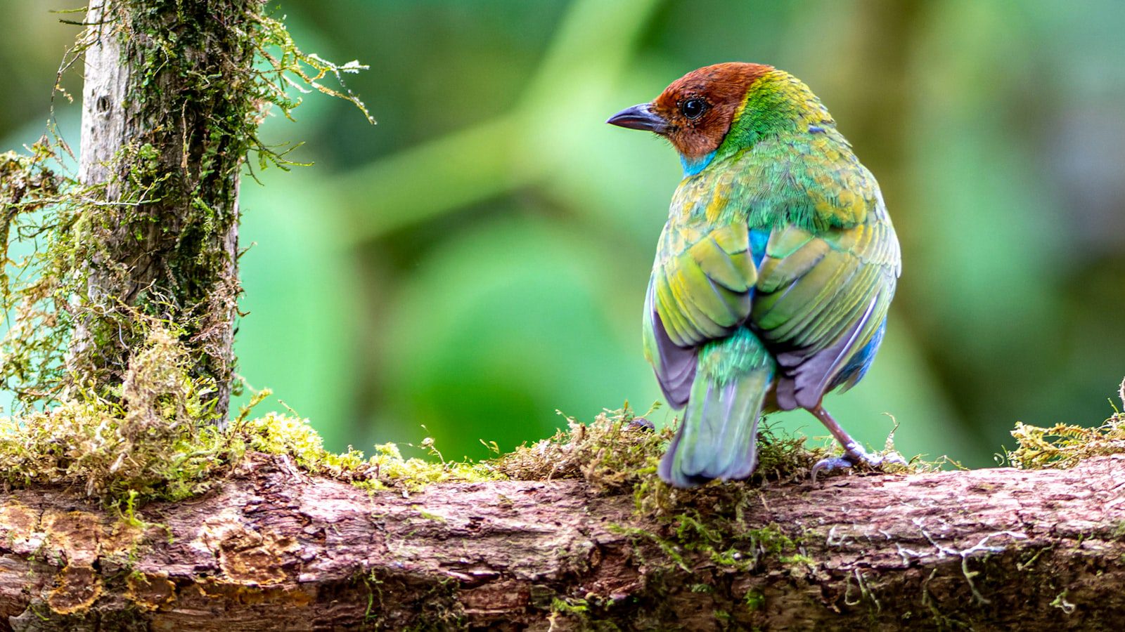 La belleza natural que contrasta con​ el oscuro pasado del parque