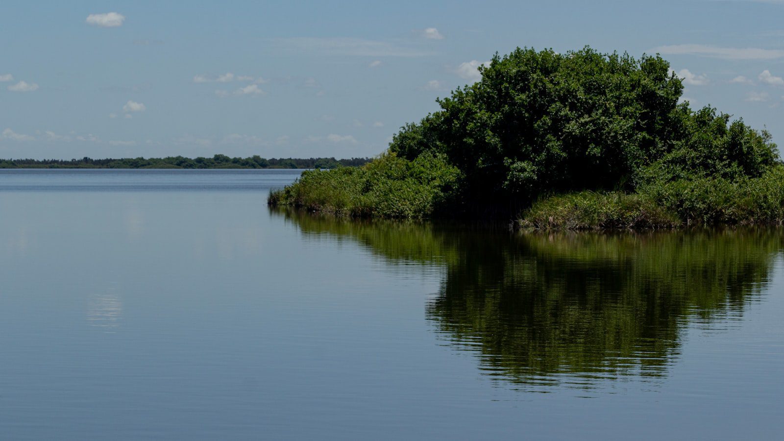 Recorriendo ⁢los senderos ​naturales y descubriendo⁣ la diversa ‍vida silvestre