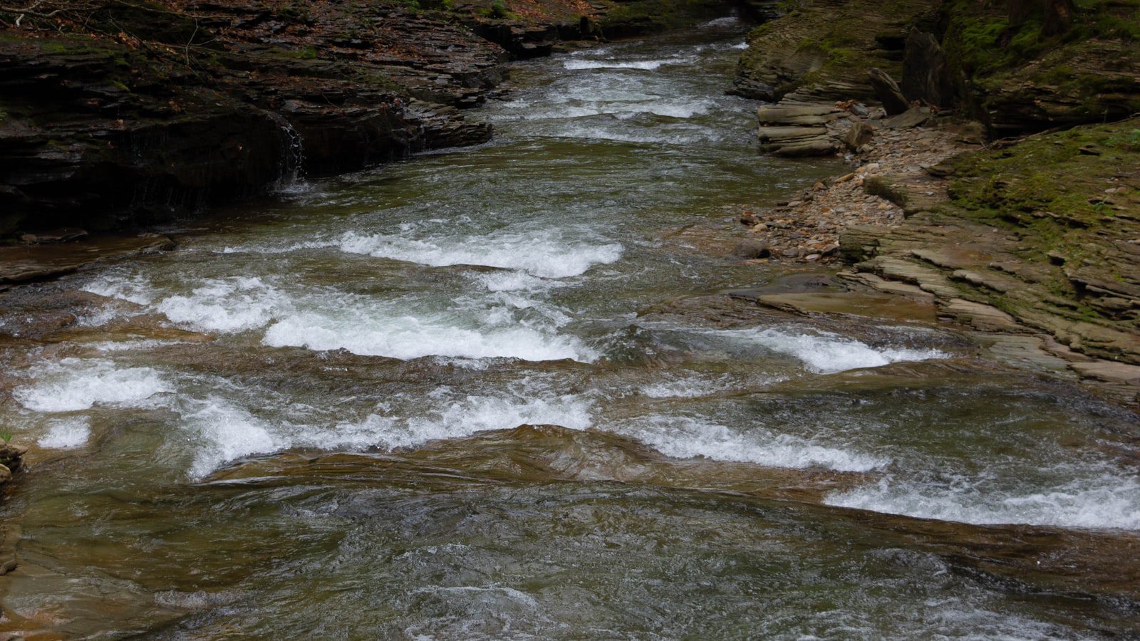 Explorando ⁣la belleza natural‌ de‌ Seneca Creek State Park