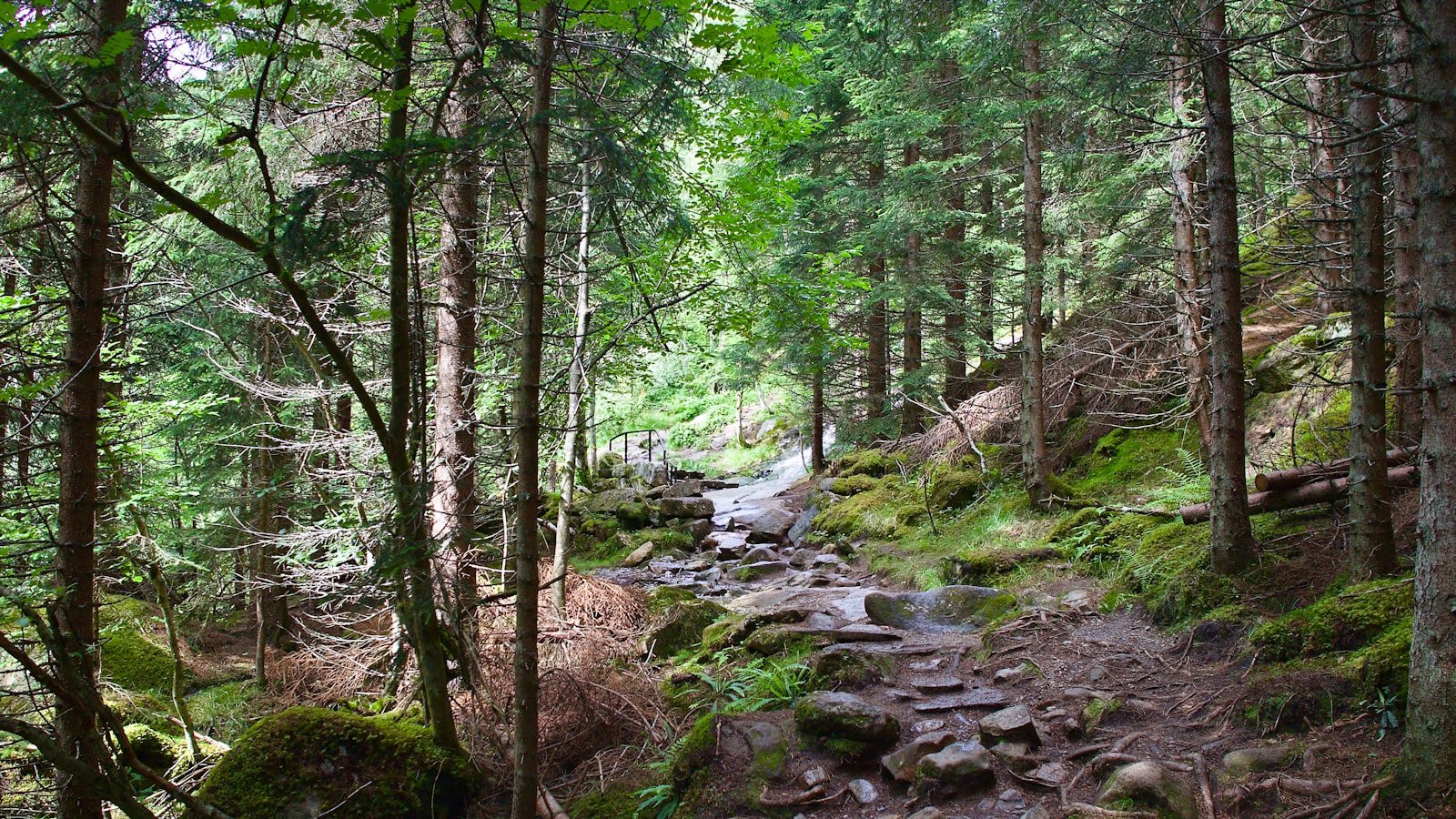 Explorando la‍ belleza natural⁤ del Parque Estatal Land‌ of the Yankee Fork